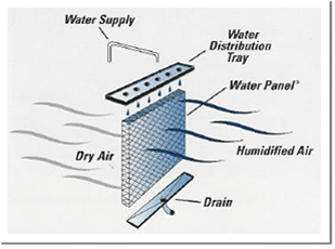 Humidifer : Humidifier Pad